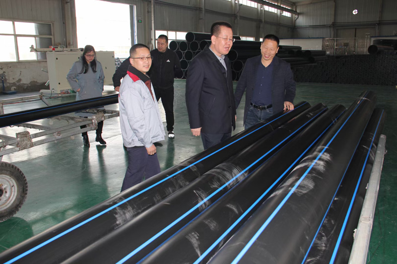 新疆天業(yè)集團公司董事長李河、譚新民等人蒞臨陜西甘霖實業(yè)公司考察指導工作