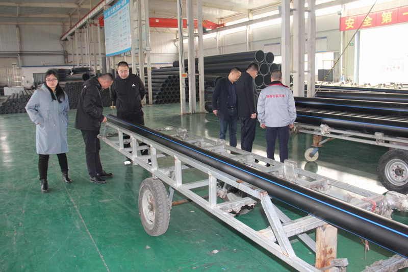 新疆天業(yè)集團公司董事長李河、譚新民等人蒞臨陜西甘霖實業(yè)公司考察指導工作